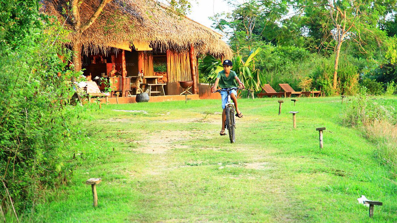 Cadjan earth, Anamaduwa