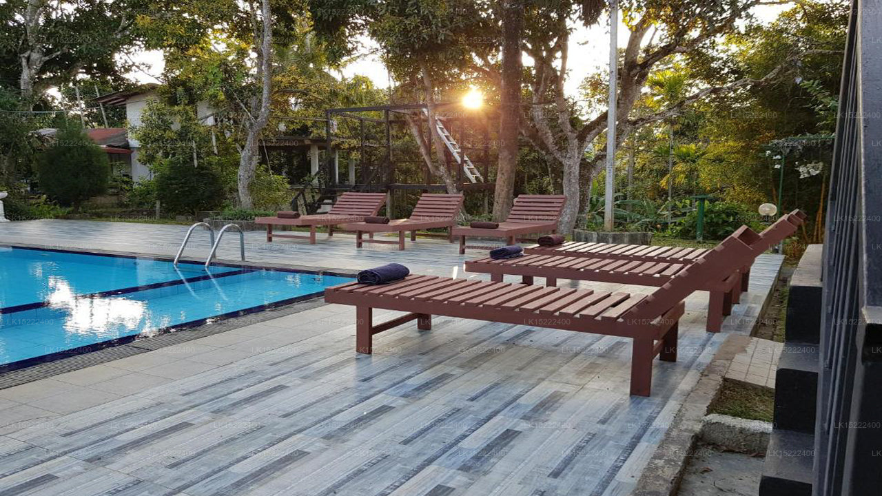 Forest Paradise, Ella