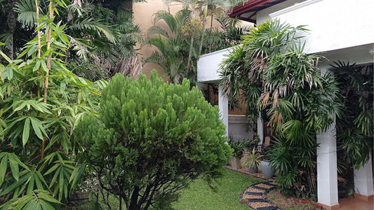 Natures Bliss Holidays, Ragama