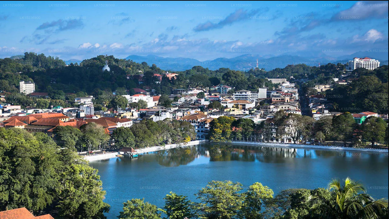 Blue Haven Residence, Kandy