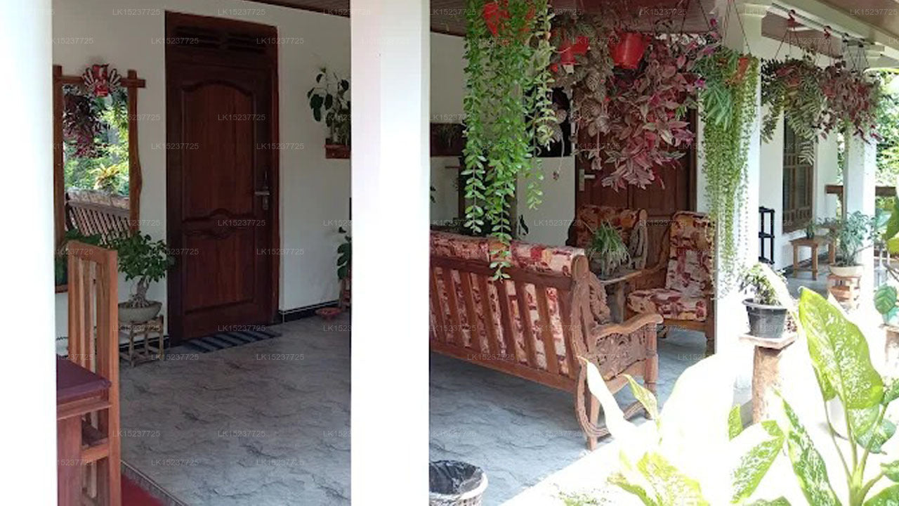 Sigiriya Moonlight Home, Sigiriya