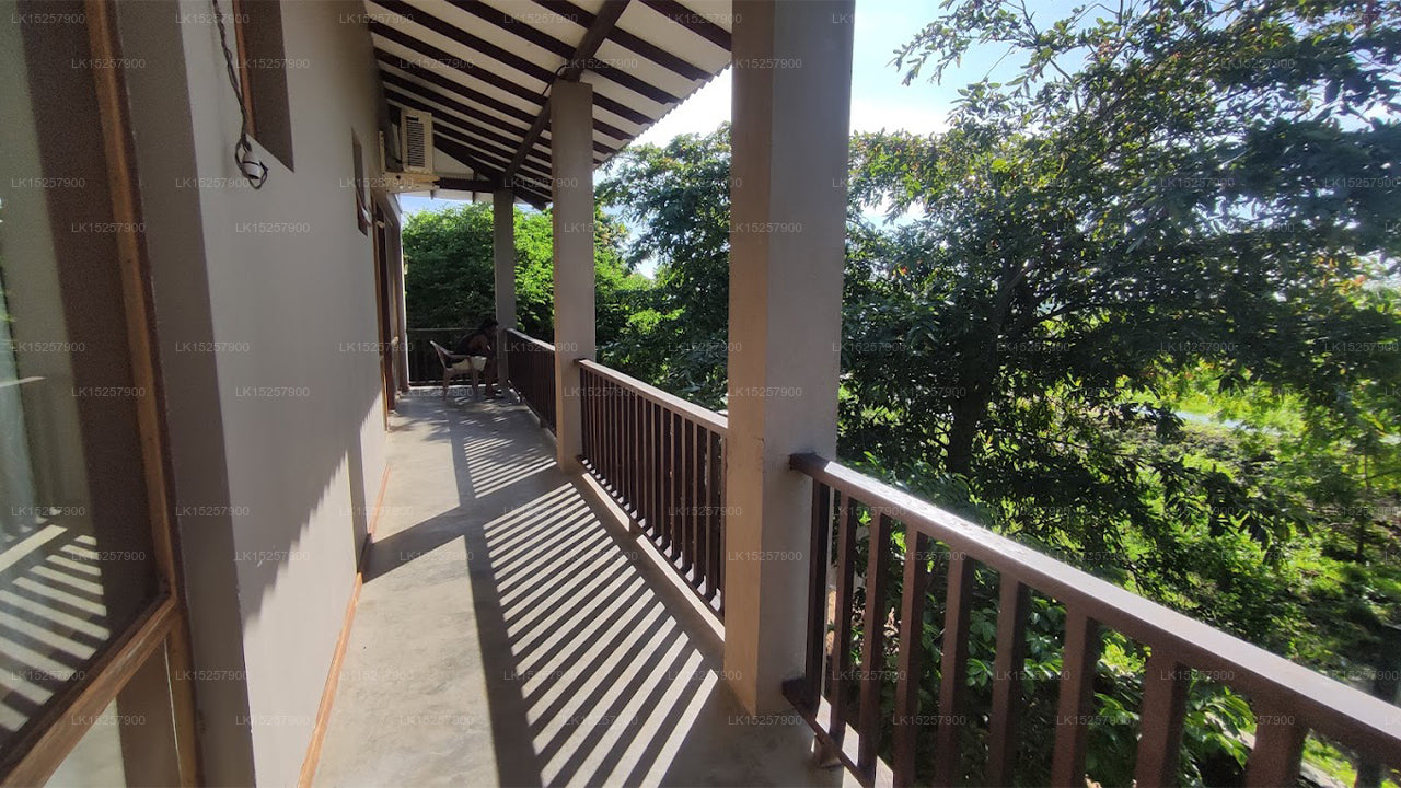 Yala Wana Arana Resort, Kataragama