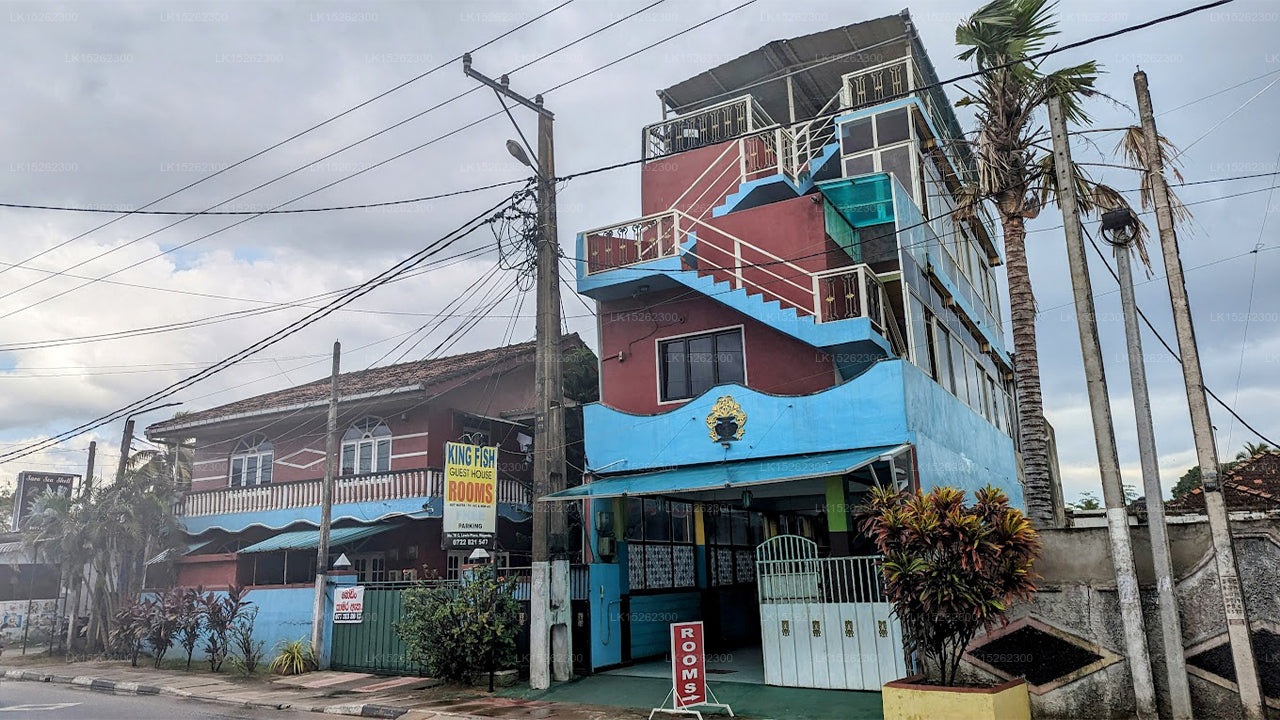 King Fish Guest House, Negombo
