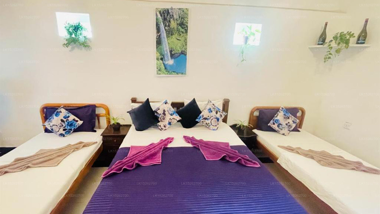 Winston Beach Guest House, Negombo