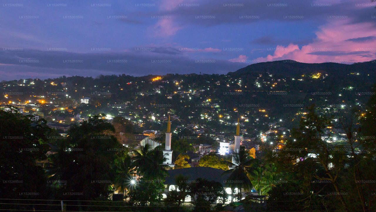 Tamarind Tree Inn, Kandy