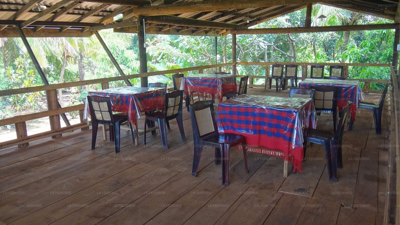 Sarilco Rock View Treehouse, Sigiriya