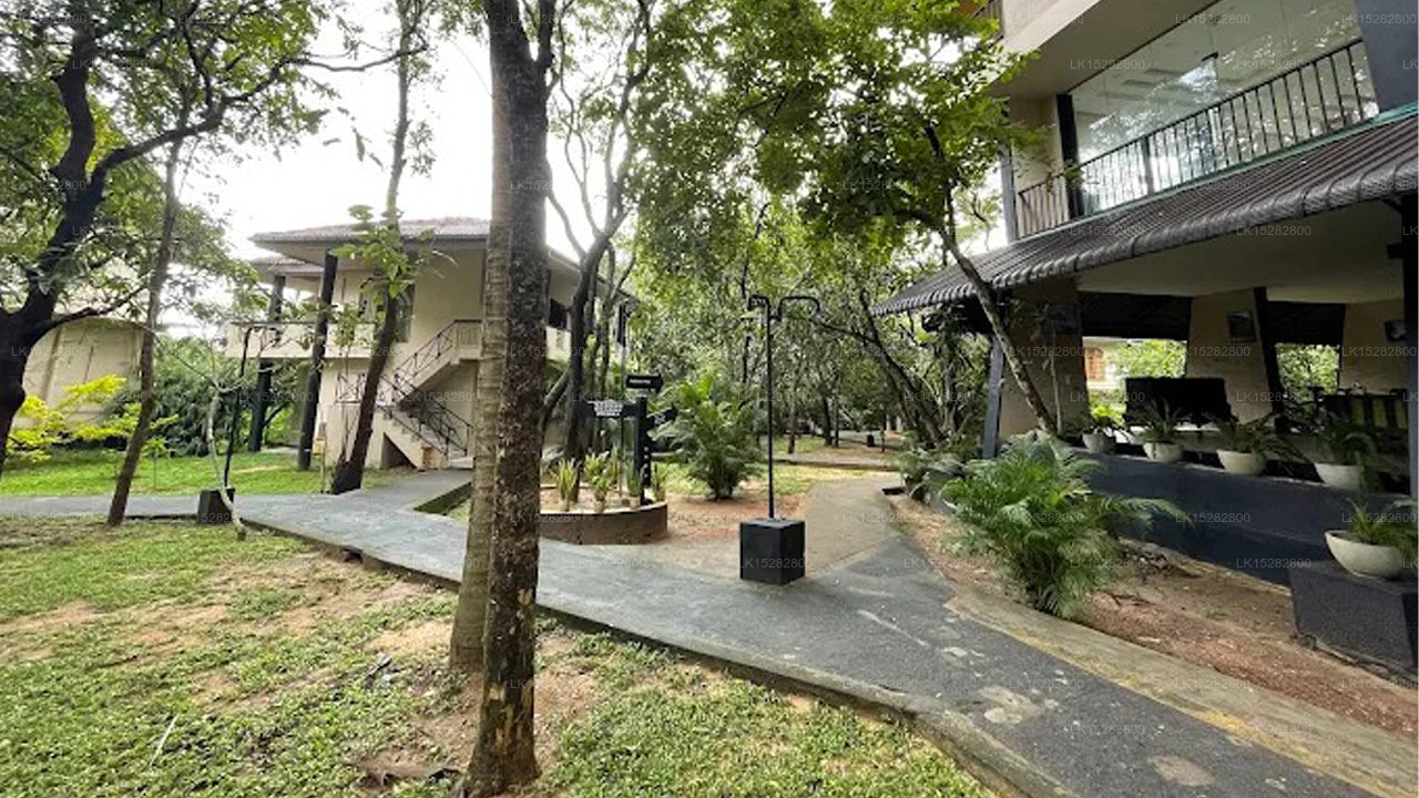 Nice Place Hotel, Dambulla