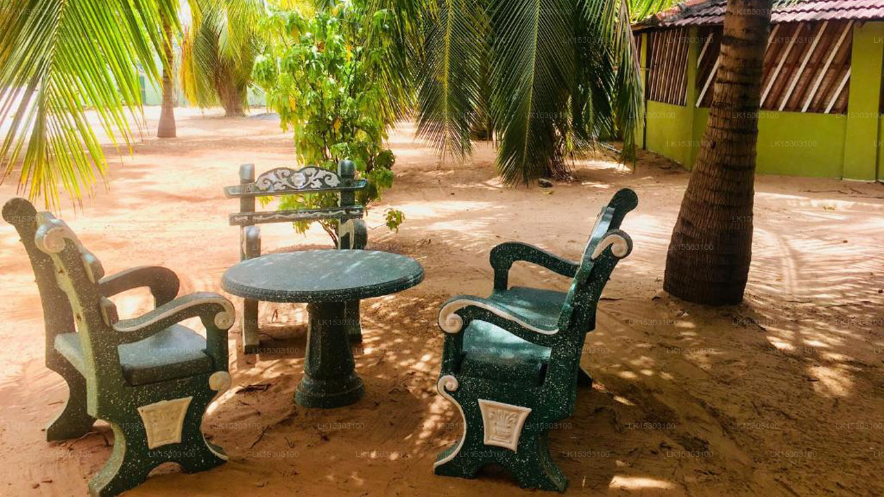 New Land Guest House, Pasikuda