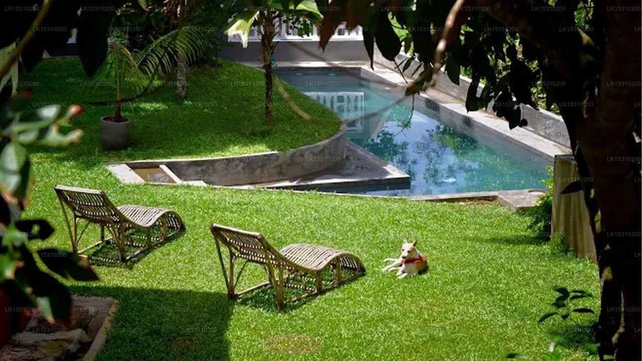 Earthlinks SriLanka, Hikkaduwa