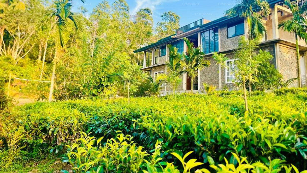 Palabaddala Tea and Eco Lodge