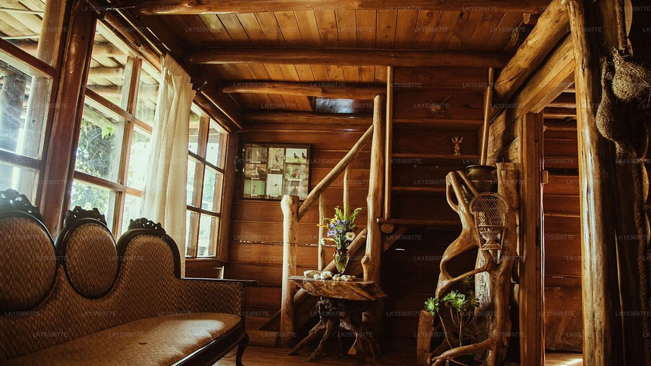 The Log, Nuwara Eliya