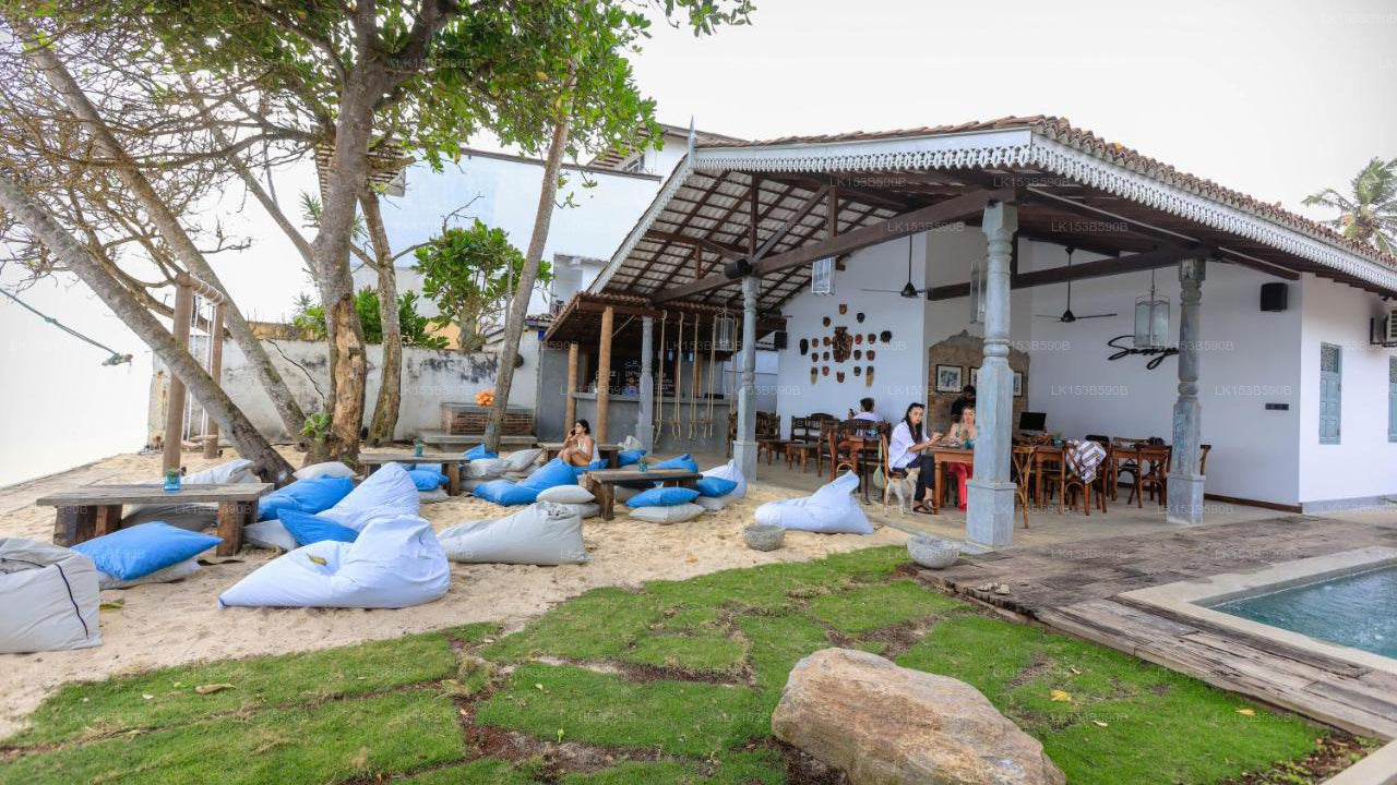 Moi Talpe by DBI, Talpe