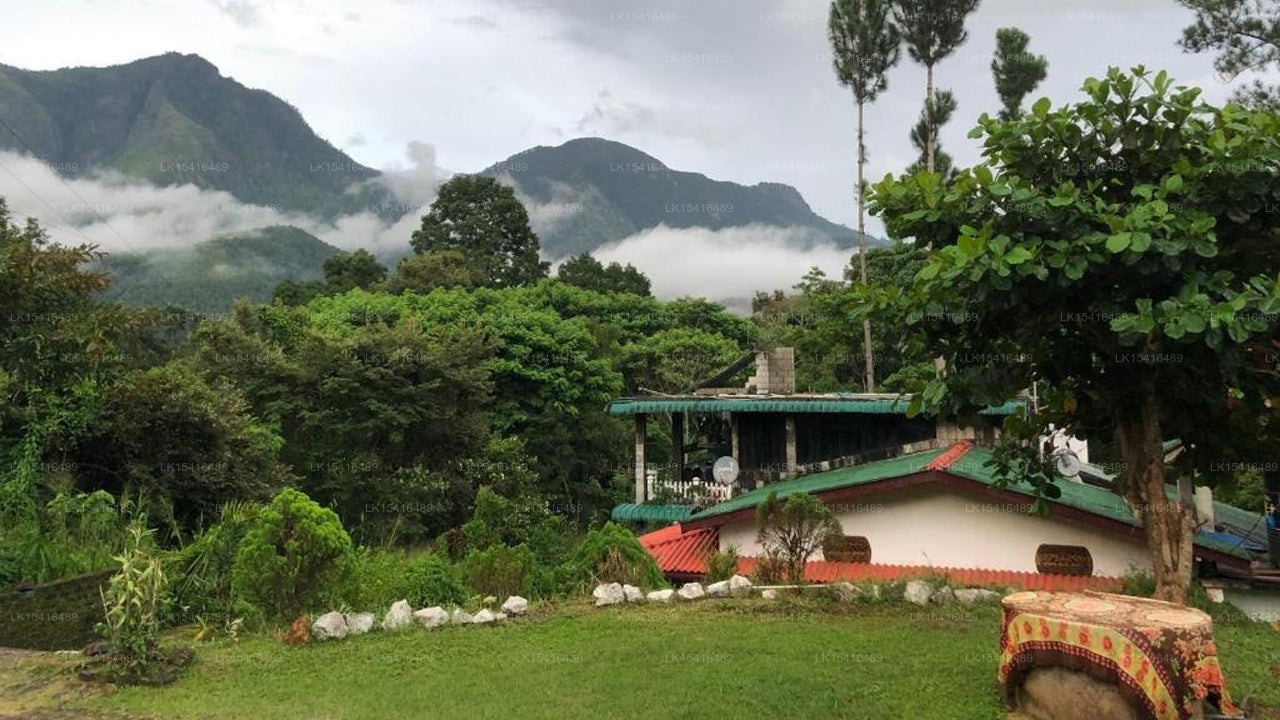 Hamadhi Guest, Haputale