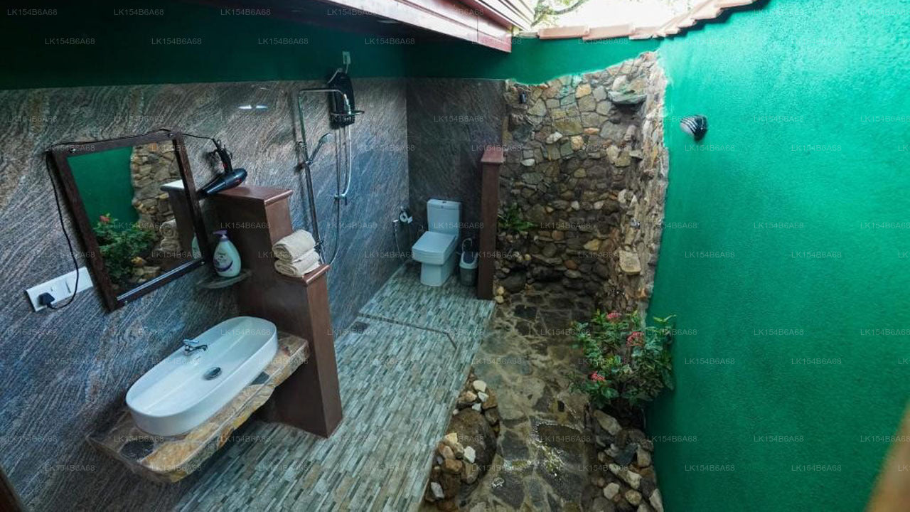 Sigiri Close-up View Guest, Sigiriya