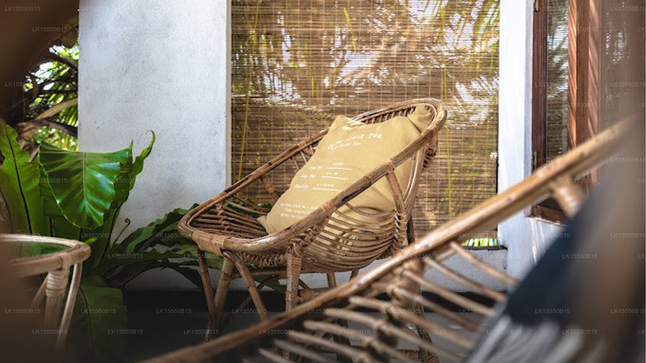 Layback Surf & Yoga Camp, Weligama