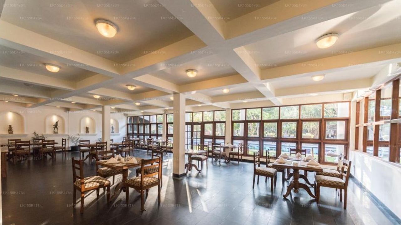 Palms, Mount Lavinia