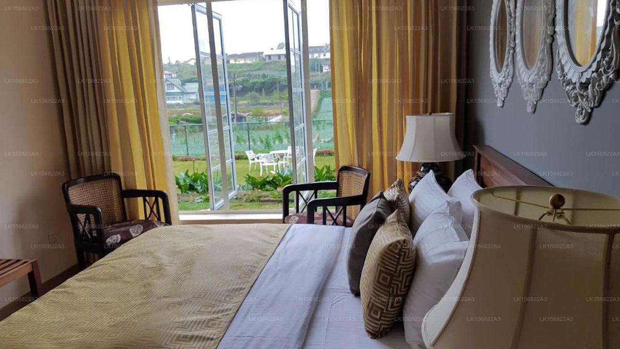 The Other Corner, Galaha