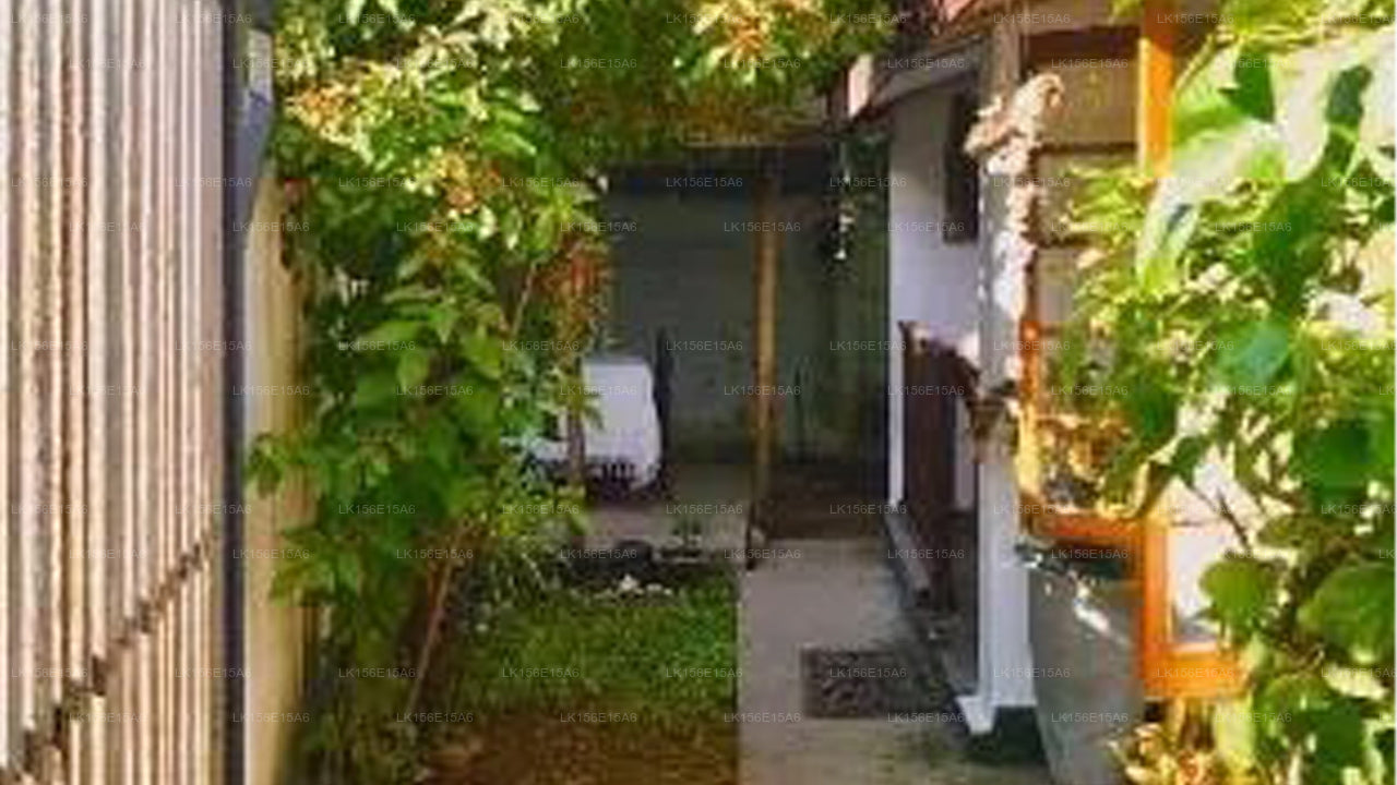 Homies Lanka - surfers and travelers lodge, Matara