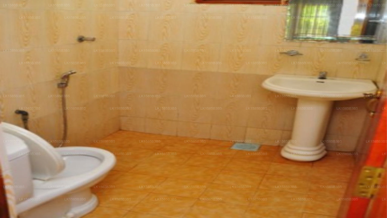 Ran Hiru Family Bungalow, Minneriya