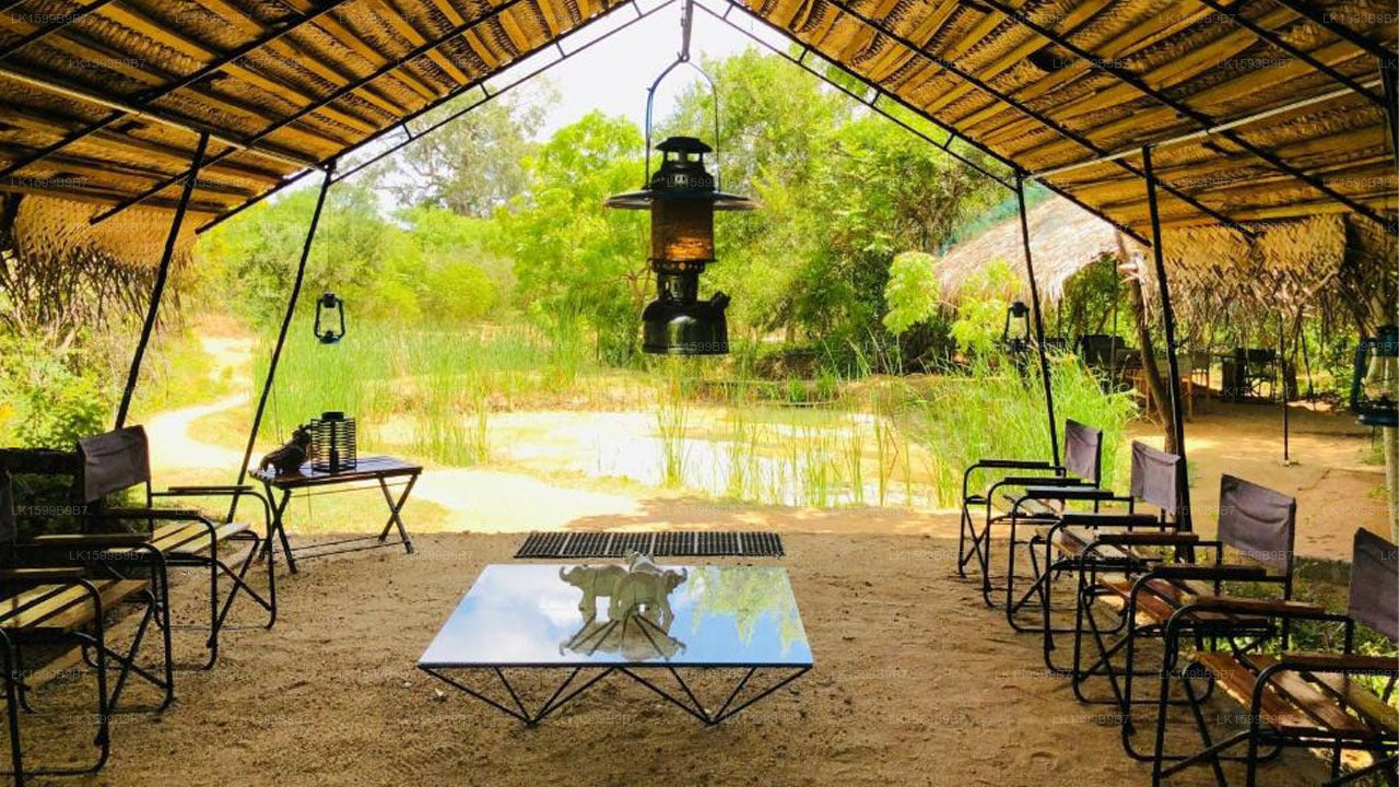 Mahoora Safari Camping, Yala
