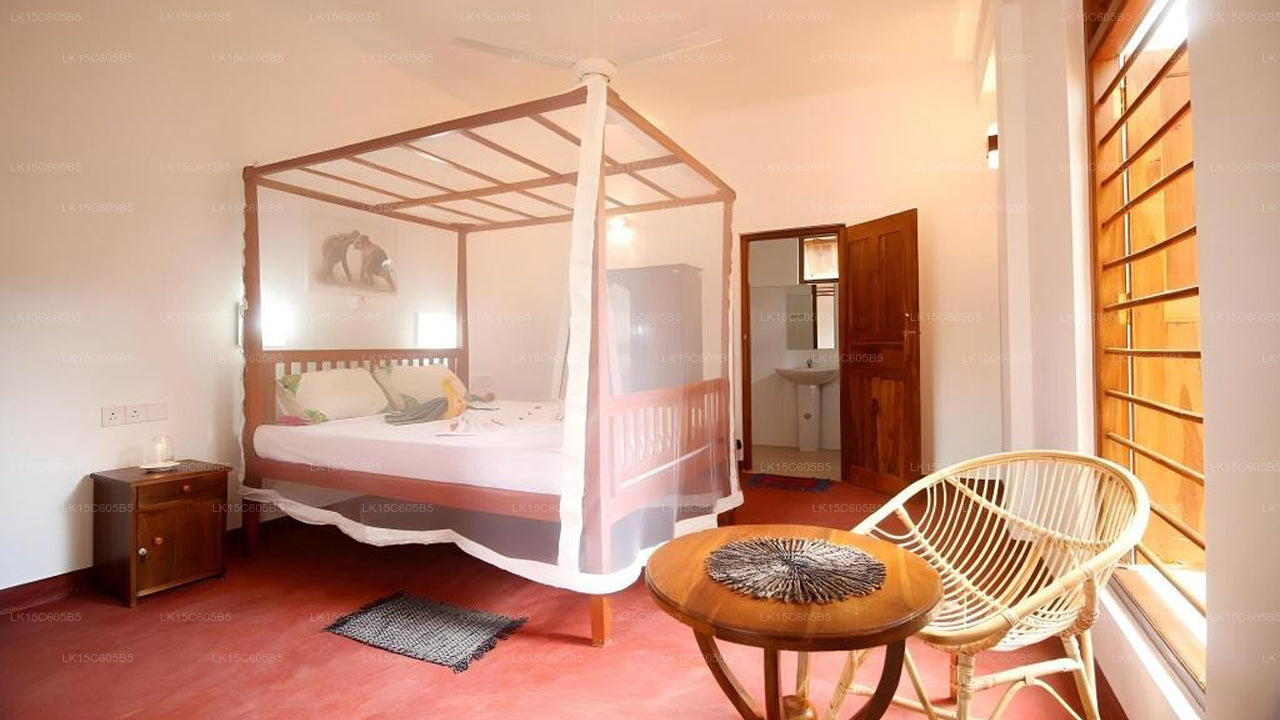 Peacock Land, Tangalle