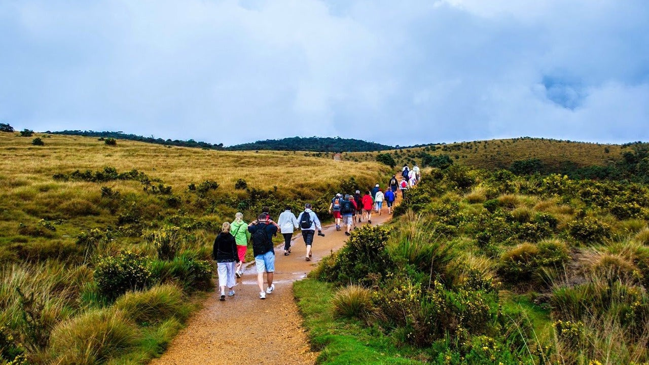 Horton Plains National Park Guided Tour with Entrance Tickets