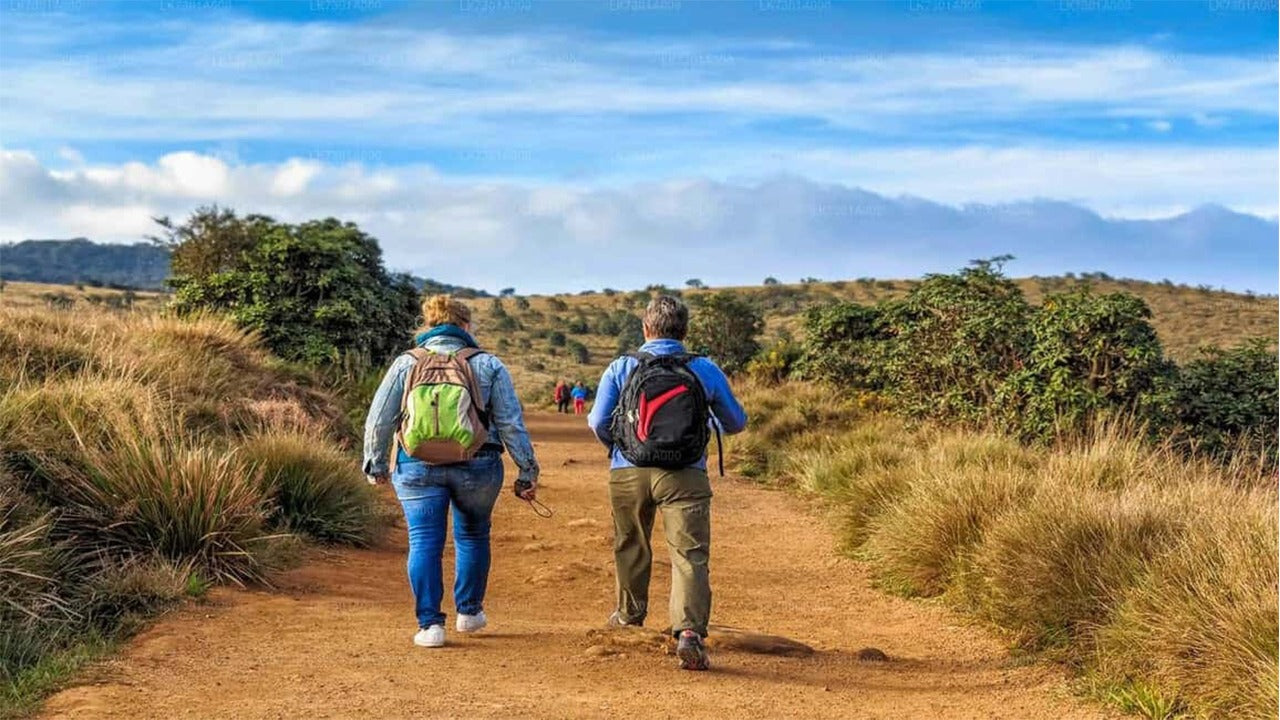 Horton Plains National Park Guided Tour with Entrance Tickets