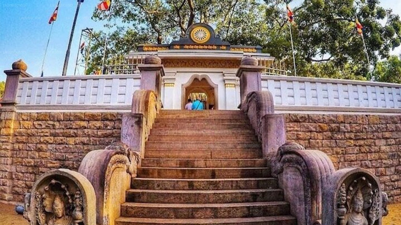 Anuradhapura Sacred Area Guided Tour with Entrance Tickets