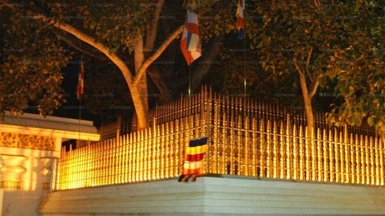 Anuradhapura Sacred Area Guided Tour with Entrance Tickets
