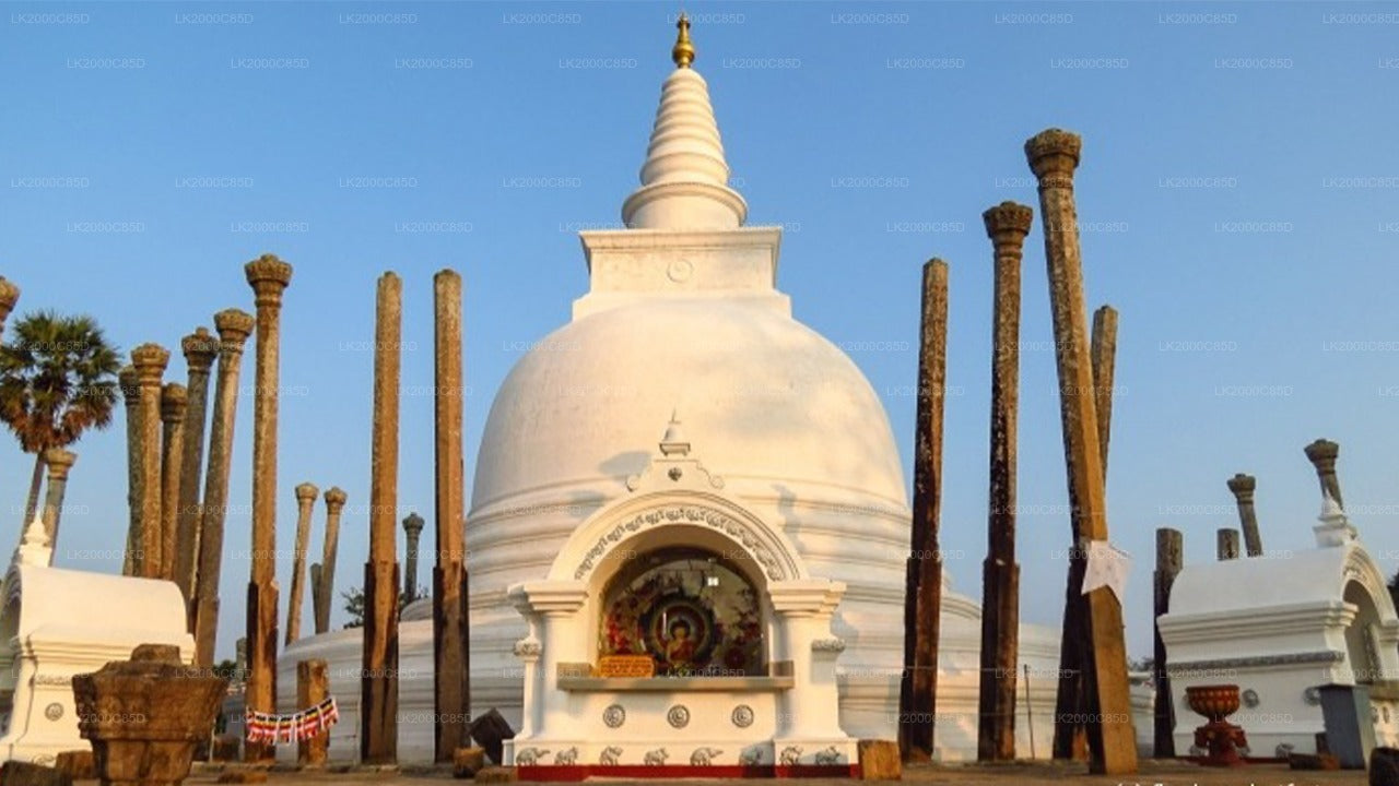 Anuradhapura Sacred Area Guided Tour with Entrance Tickets
