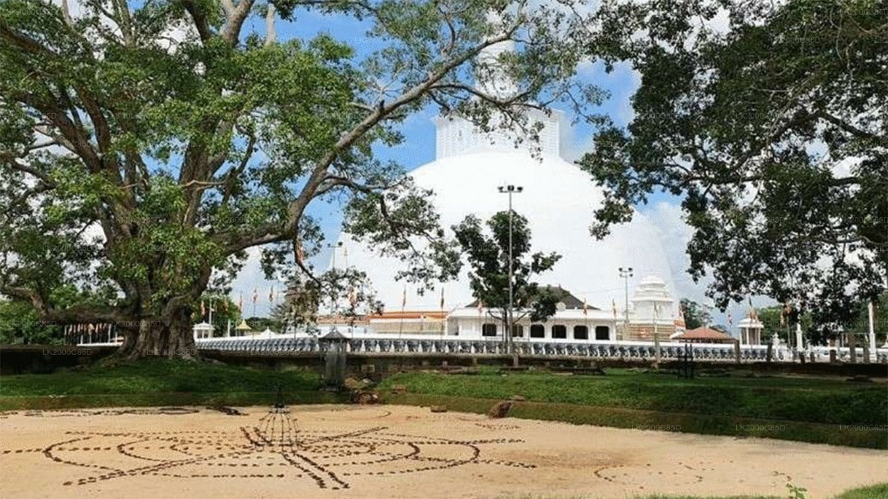Anuradhapura Sacred Area Guided Tour with Entrance Tickets