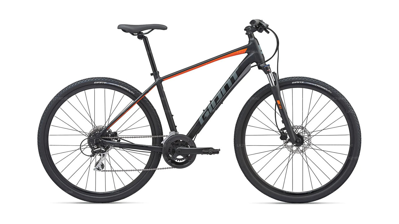 Bicycle Rental from Galle