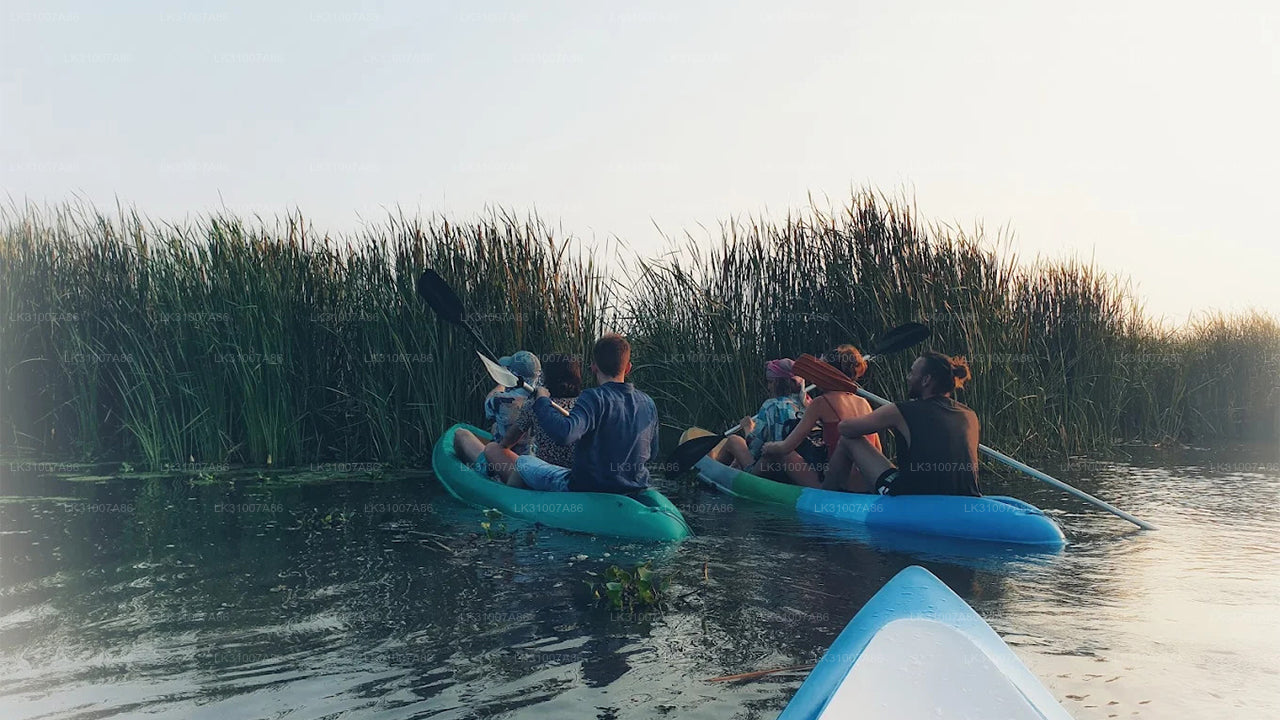 Rekawa Lagoon Kayaking