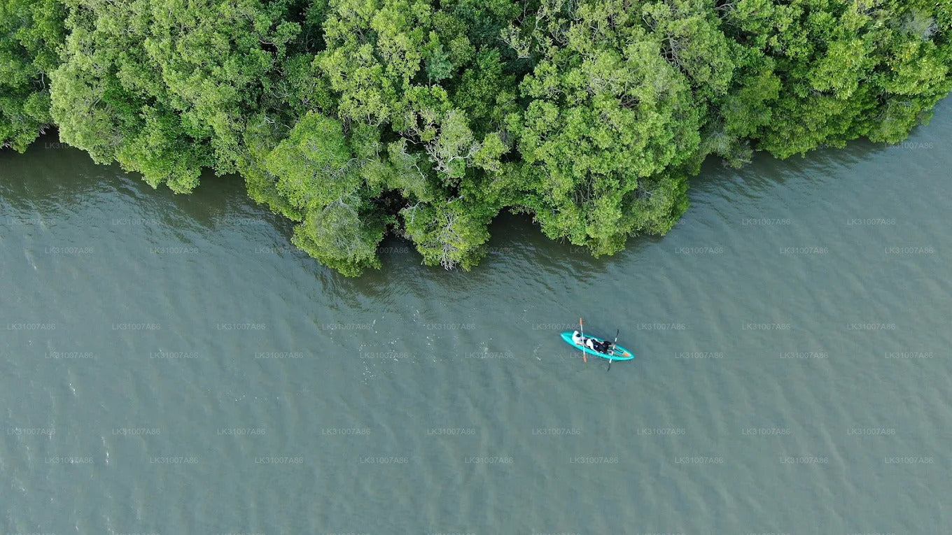 Rekawa Lagoon Kayaking