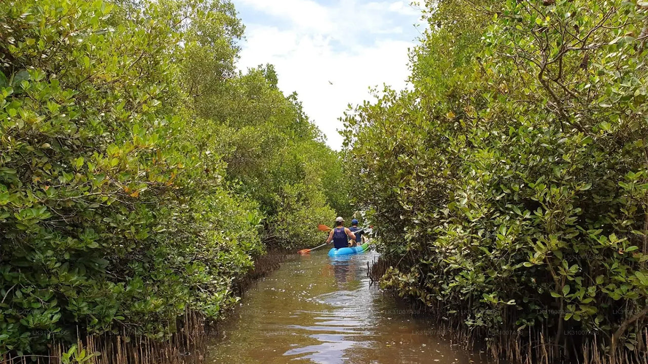 Rekawa Lagoon Kayaking