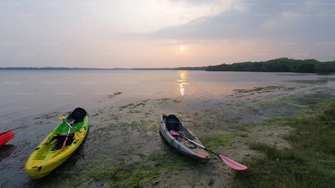 Rekawa Lagoon Kayaking