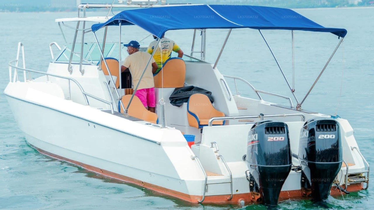 Private Fishing Tour by Luxury Speedboat from Mirissa