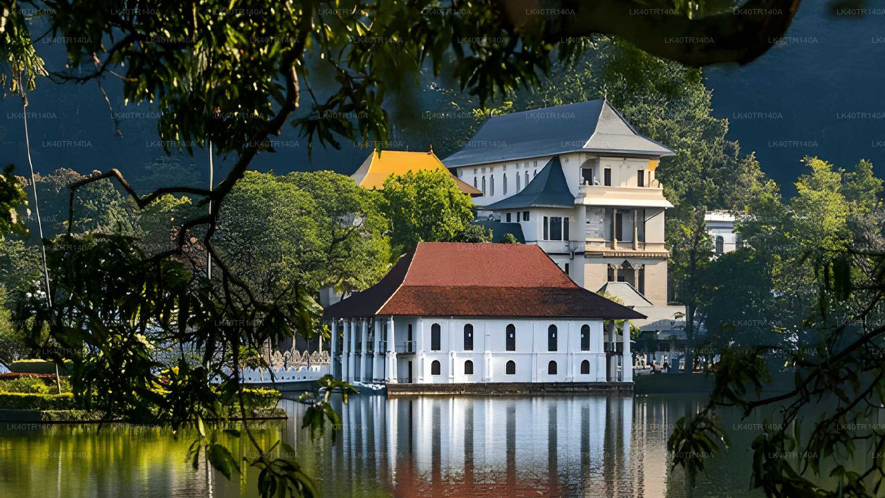 Ella to Kandy: A Scenic Journey by Train and Car or Van