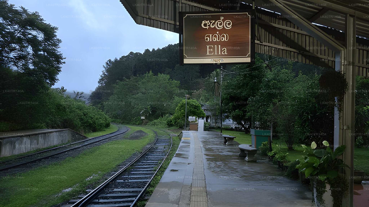 Ella to Kandy: A Scenic Journey by Train and Car or Van