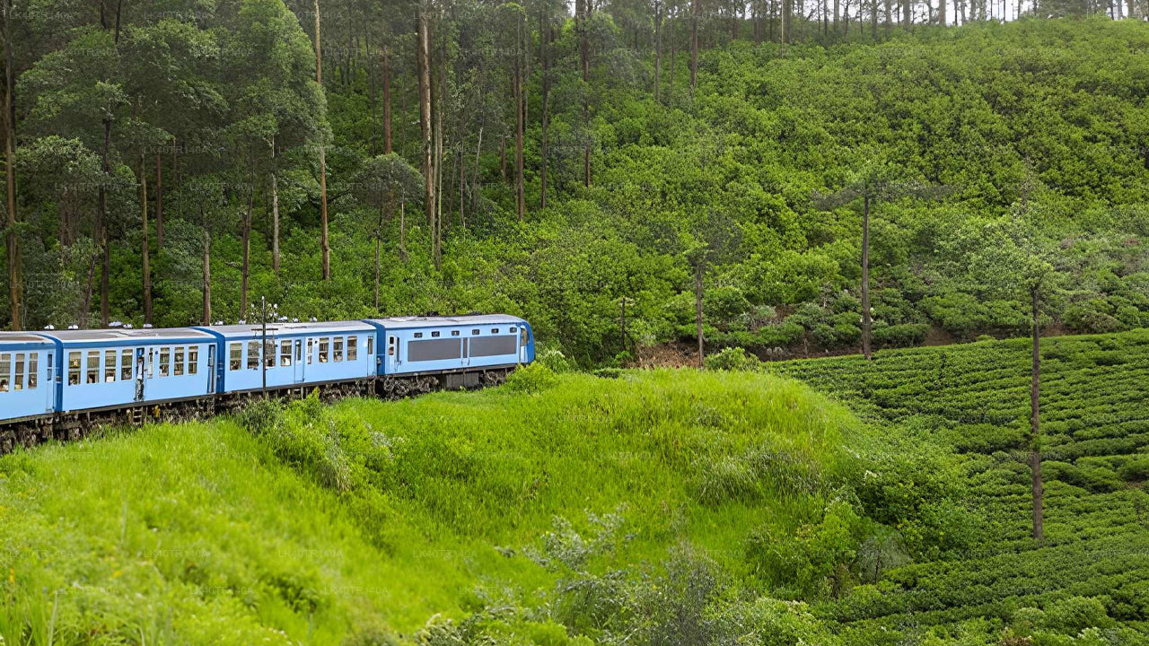 Ella to Kandy: A Scenic Journey by Train and Car or Van