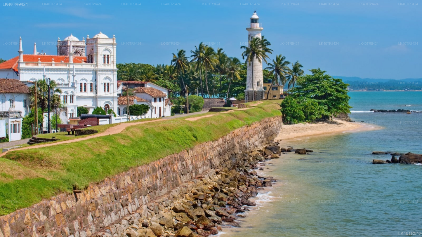 Coastal Transfer from Colombo to Mirissa with Sightseeing Stops