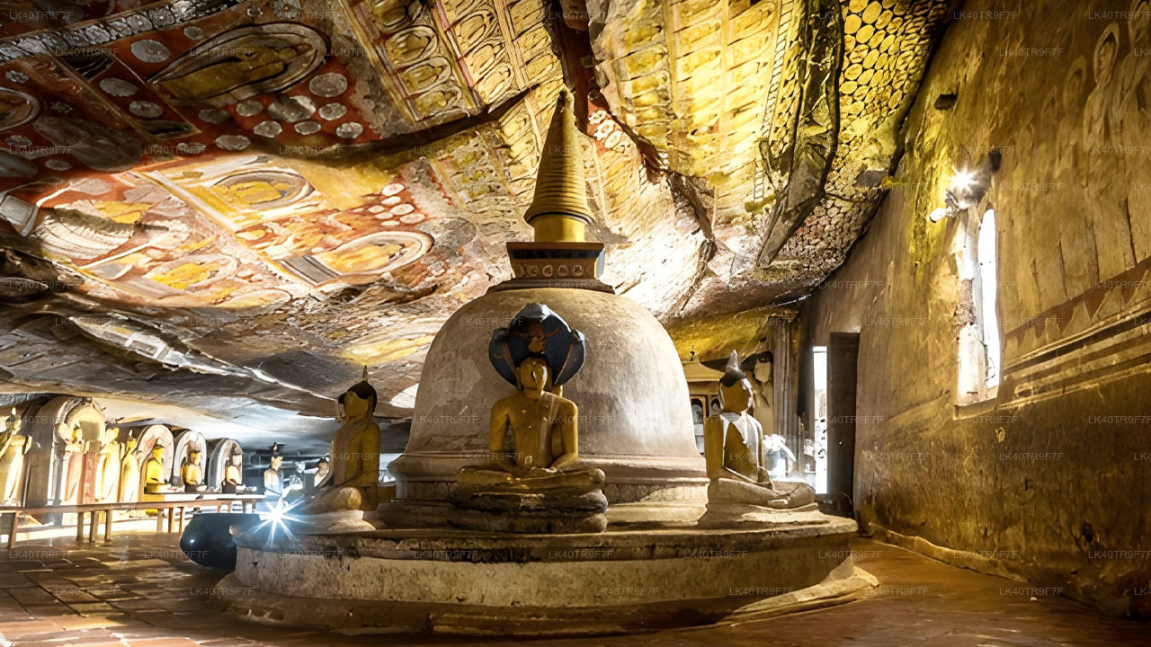 Private Transfer from Colombo to Sigiriya with Sightseeing Stops