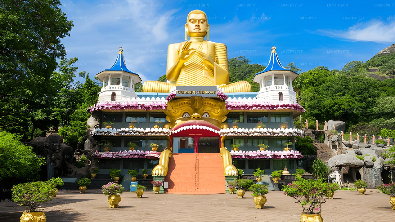 Private Transfer from Colombo to Sigiriya with Sightseeing Stops