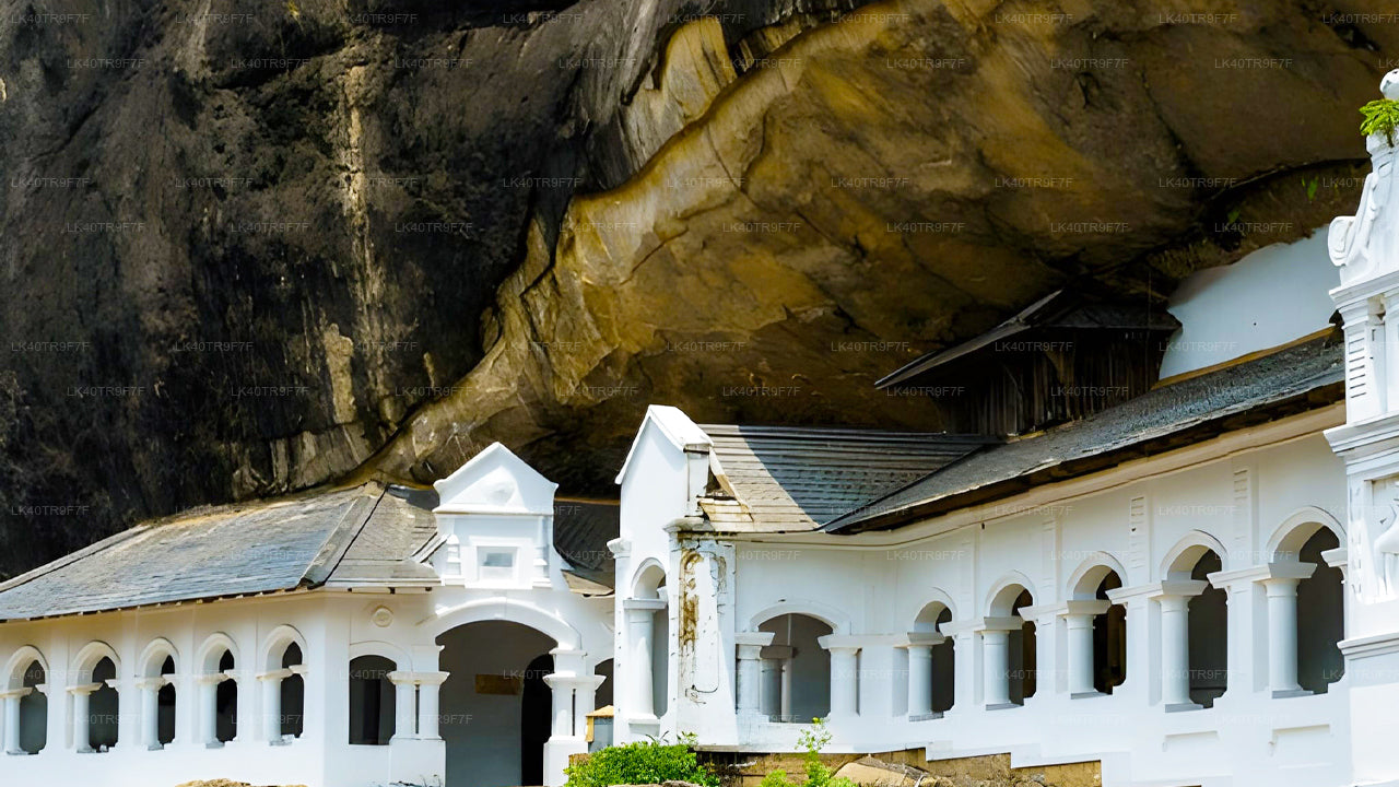 Private Transfer from Colombo to Sigiriya with Sightseeing Stops