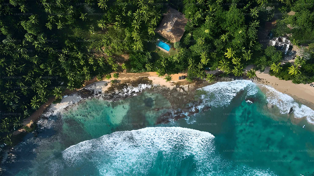 Private Transfer from Negombo to Hiriketiya with Sightseeing Stops