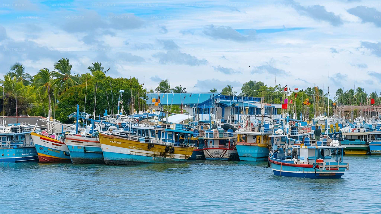 Private Transfer from Negombo to Hiriketiya with Sightseeing Stops