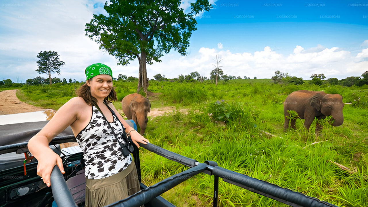 Private Tour from Hiriketiya to Ella with Udawalawe Safari