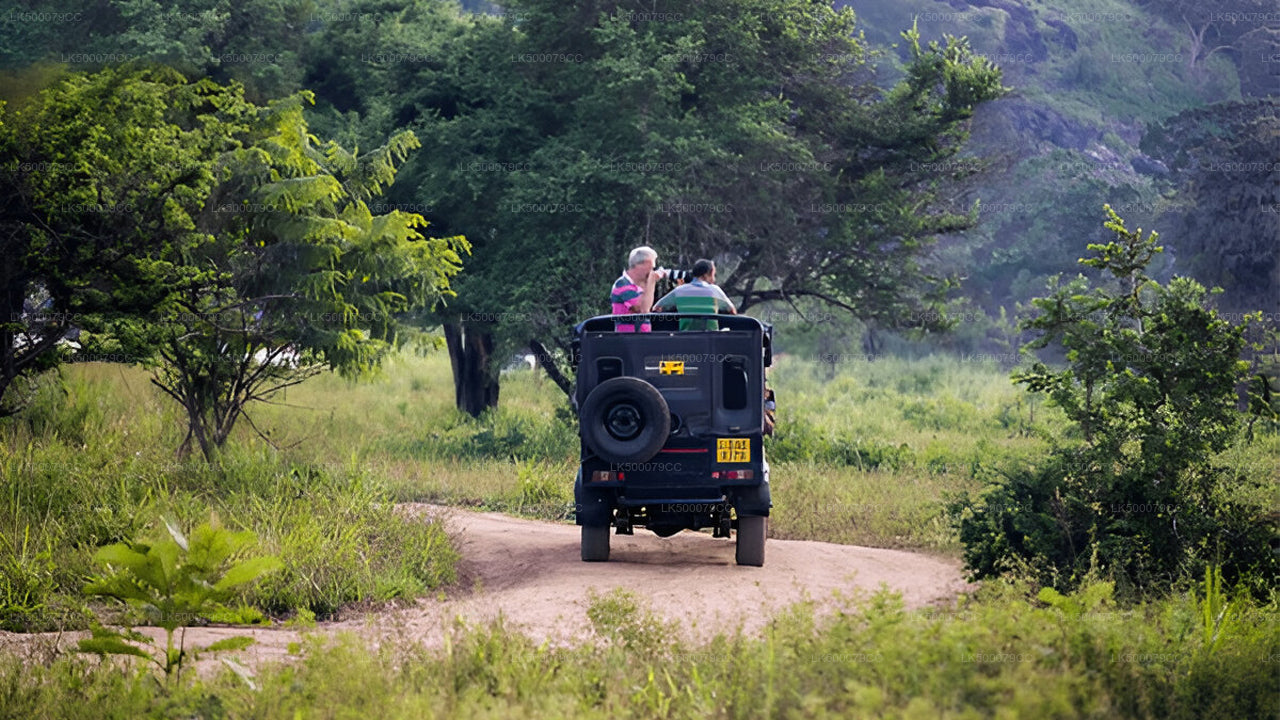 Private Tour from Ella to Tangalle with Yala Safari