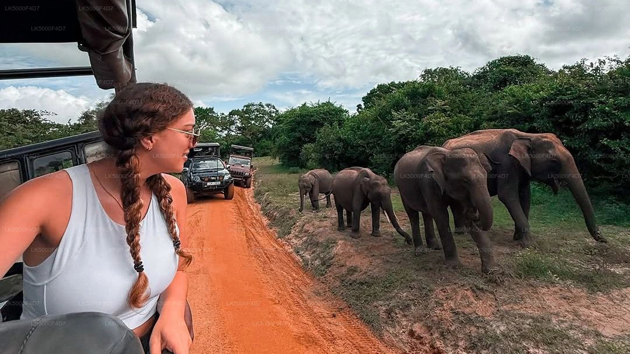 Private Tour from Ella to Hiriketiya with Yala Safari