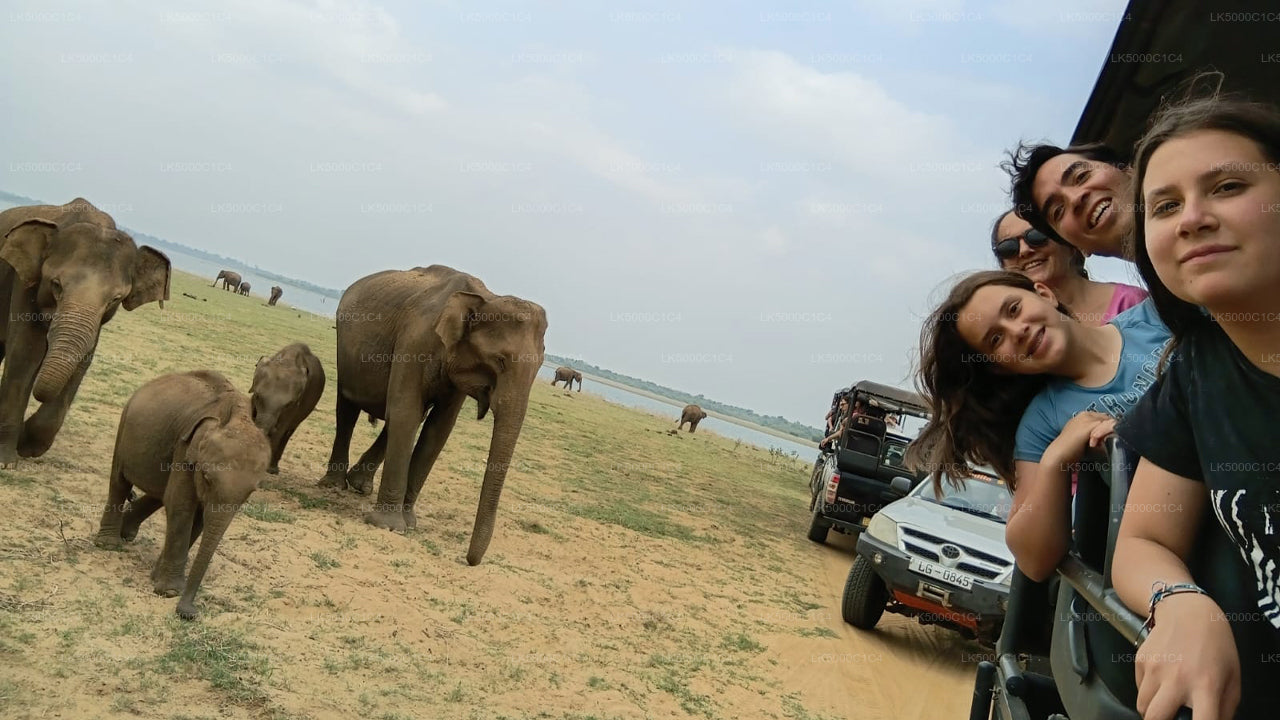 Private Tour from Ella to Hiriketiya with Udawalawe Safari